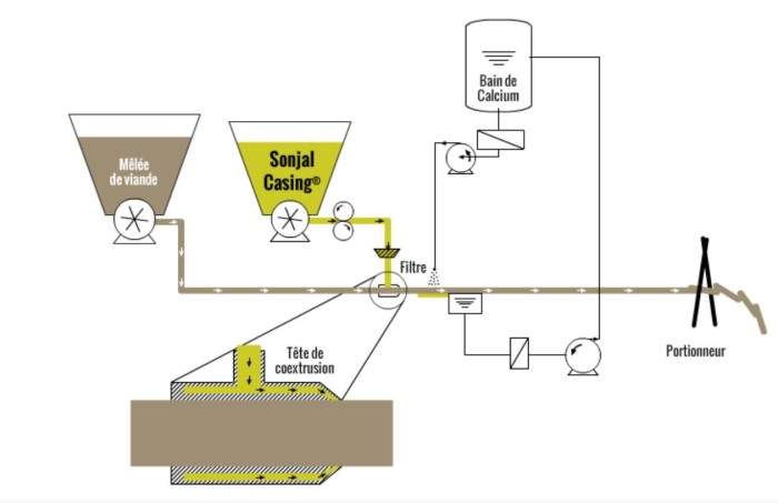 coextrusion_schema-coextrusion